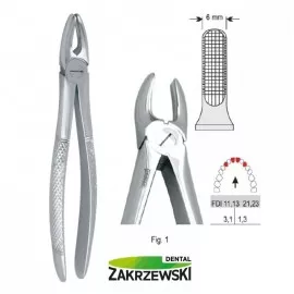 Kleszcze Berteny fig.1 do zębów przednich górnych Falcon