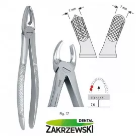 Kleszcze Berteny fig.17 do zębów trzonowych górnych prawych Falcon