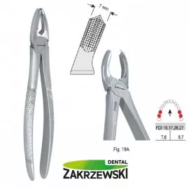 Kleszcze Berteny fig.18A do zębów trzonowych górnych Falcon