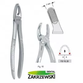Kleszcze Berteny fig.19 do zębów mądrości górnych Falcon