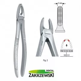 Kleszcze Berteny fig.2 do zębów przednich górnych Falcon