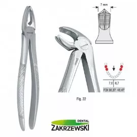 Kleszcze Berteny fig.22 do zębów trzonowych dolnych Falcon