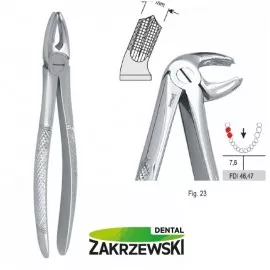 Kleszcze Berteny fig.23 do zębów trzonowych dolnych prawych Falcon