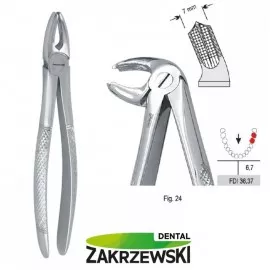 Kleszcze Berteny fig.24 do zębów trzonowych dolnych lewych Falcon