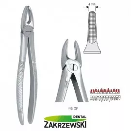 Kleszcze Berteny fig.29 do korzeni górnych Falcon