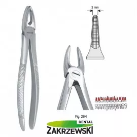 Kleszcze Berteny fig.29N do korzeni górnych Falcon