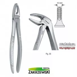 Kleszcze Berteny fig.33 do korzeni dolnych Falcon