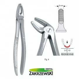 Kleszcze Berteny fig.4 do zębów przednich dolnych Falcon