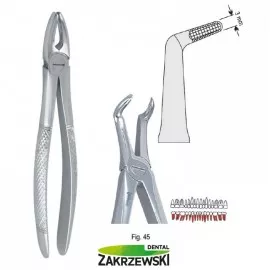 Kleszcze Berteny fig.45 do korzeni dolnych Falcon