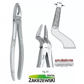 Kleszcze Berteny fig.51 do korzeni górnych Falcon