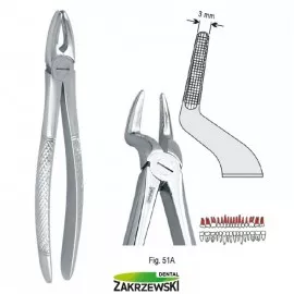 Kleszcze Berteny fig.51A do korzeni górnych Falcon