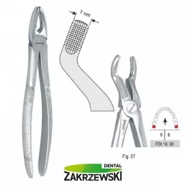 Kleszcze Berteny fig.67 do zębów mądrości górnych Falcon