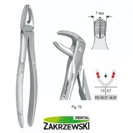 Kleszcze Berteny fig.73 do zębów trzonowych dolnych Falcon