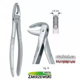 Kleszcze Berteny fig.74 do korzeni dolnych Falcon