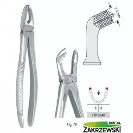 Kleszcze Berteny fig.79 do zębów mądrości dolnych Falcon