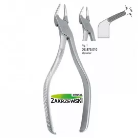 Kleszcze Meissnera Falcon Fig.1