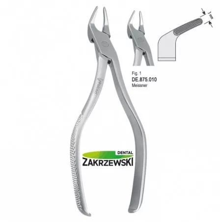 Kleszcze Meissnera Falcon Fig.1