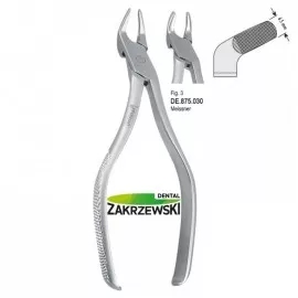 Kleszcze Meissnera Falcon Fig.3