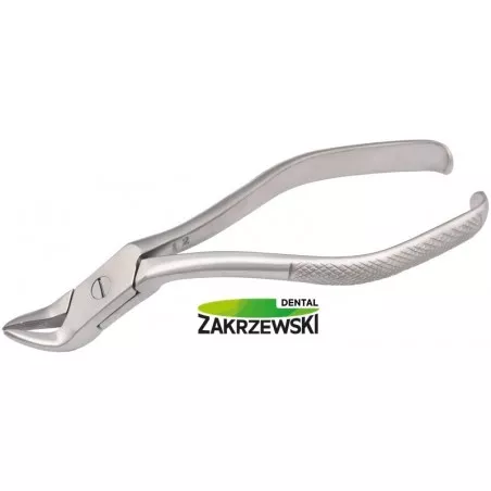 Kleszcze Meissnera małe