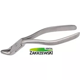 Kleszcze Meissnera średnie