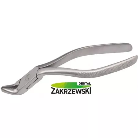 Kleszcze Meissnera średnie