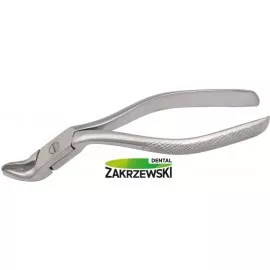 Kleszcze Meissnera duże