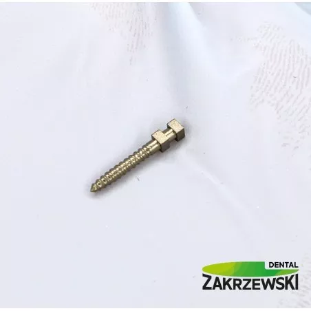 Sztyfty tytanowe Swedent