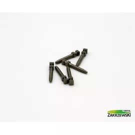 Sztyfty tytanowe Ass. Swedent