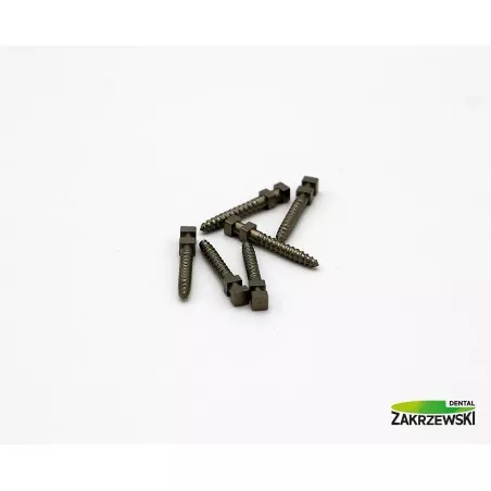 Sztyfty tytanowe Ass. Swedent