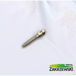 wkład koronowo korzeniowy tytanowy Swedent / Nordin