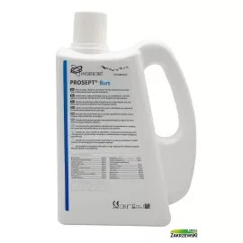 Prosept Burs 2l Hygiene360