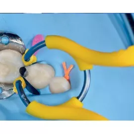 MyJunior Kit 6330 zestaw Polydentia