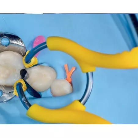 MyJunior Kit 6330 zestaw Polydentia