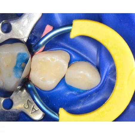 MyJunior Kit 6330 zestaw Polydentia