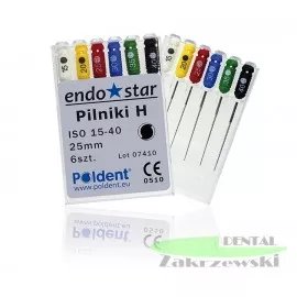 Pilnik H  poldent